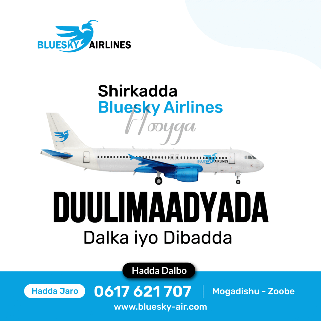 Blue Sky-03